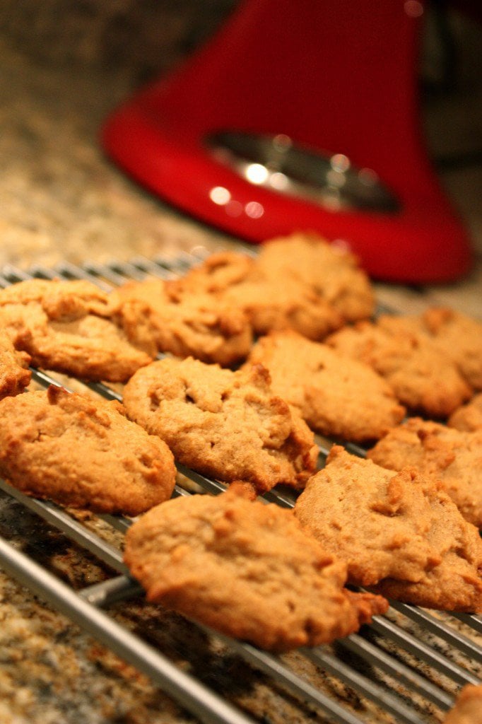 gluten free peanut butter cookies on a cookie sheet with a red kitchen aid mixer in the background