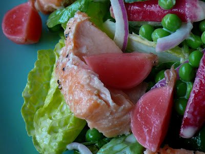 salmon and radish salad crop