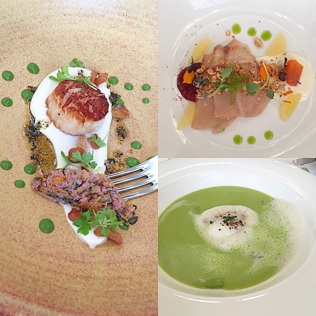 Next_up-__the_best_scallop_I_ve_had_in_a_long_time__that_one_was_tough_to_share___Hamachi_crudo_which_I_let_Ryan_have_Asparagus_soup_with_Parmesan_foam_and_poached_egg.__All_amazing.___Farmatthecarnerosinn__carnerosinn__glutenfree__aageats__againstal