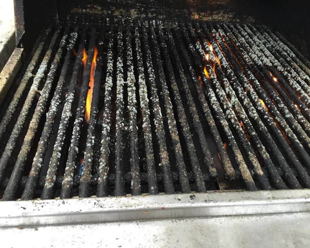 Well_that_s_a_first..._The_grates_are_covered_in_mold___