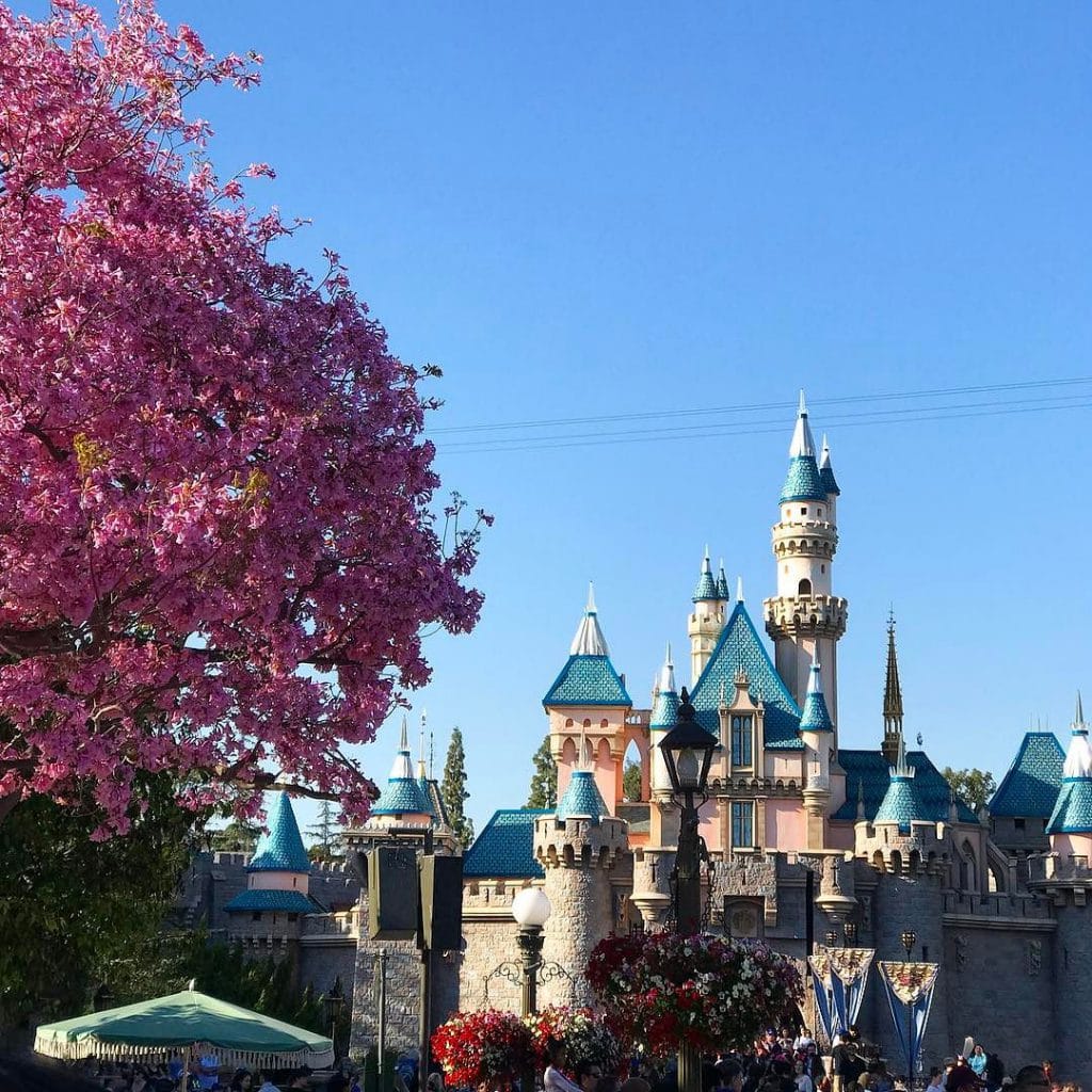 Another_magical_day_at__disneyland___