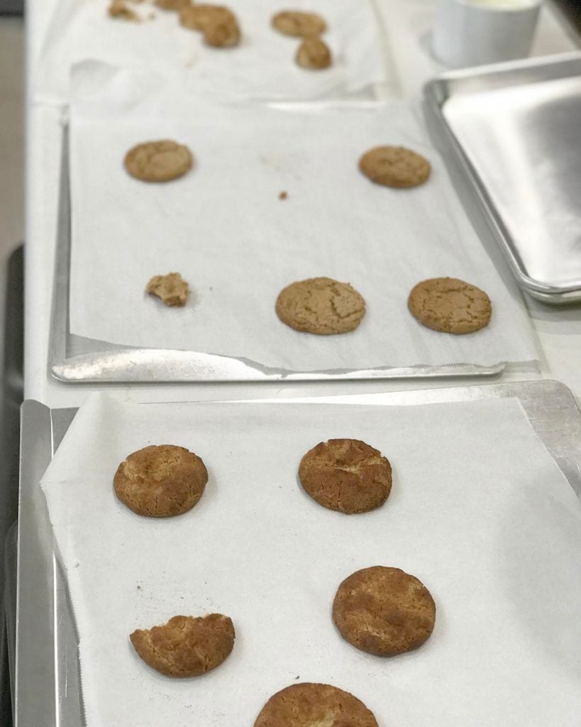 Snickerdoodle_testing