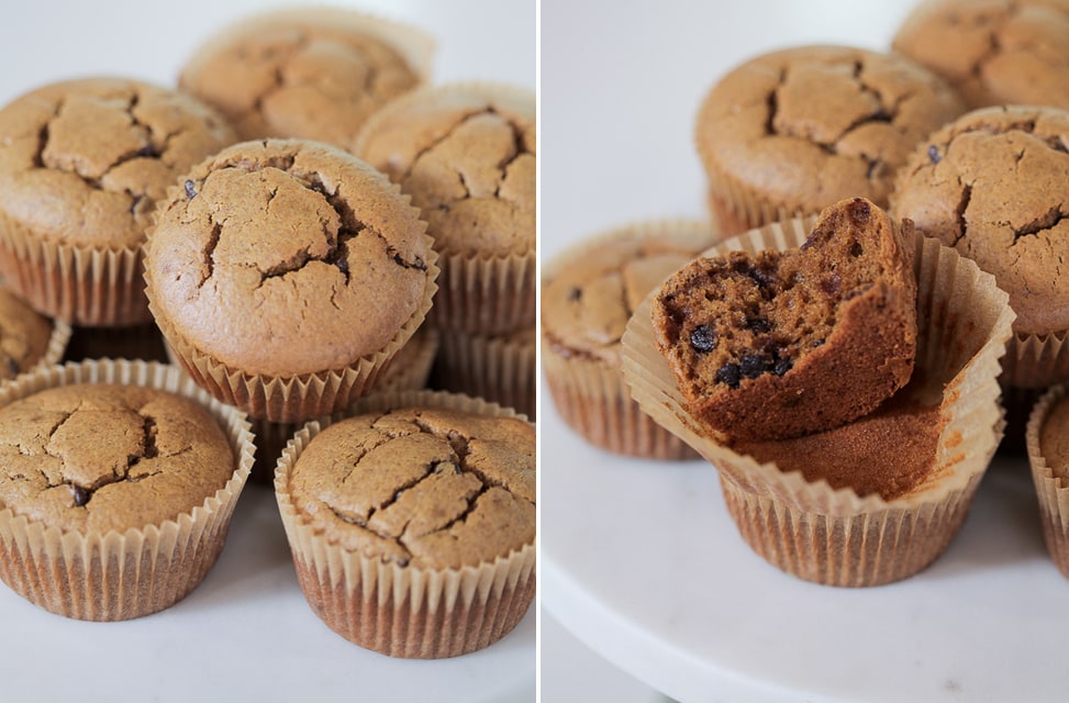 Paleo Pumpkin Chocolate Muffins | Danielle Walker's Against all Grain